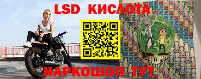 молекула духа Новозыбков