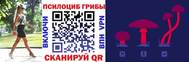 Псилоцибиновые грибы Cubensis  Электрогорск 