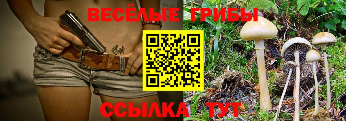 Галлюциногенные грибы Magic Shrooms Электрогорск
