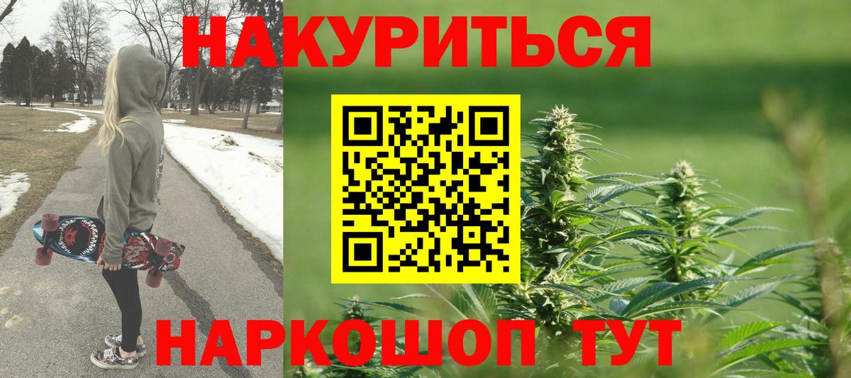 Канабис планчик  Каннабис ГИДРОПОН  Вход с VPN  Канабис семена  Электрогорск 